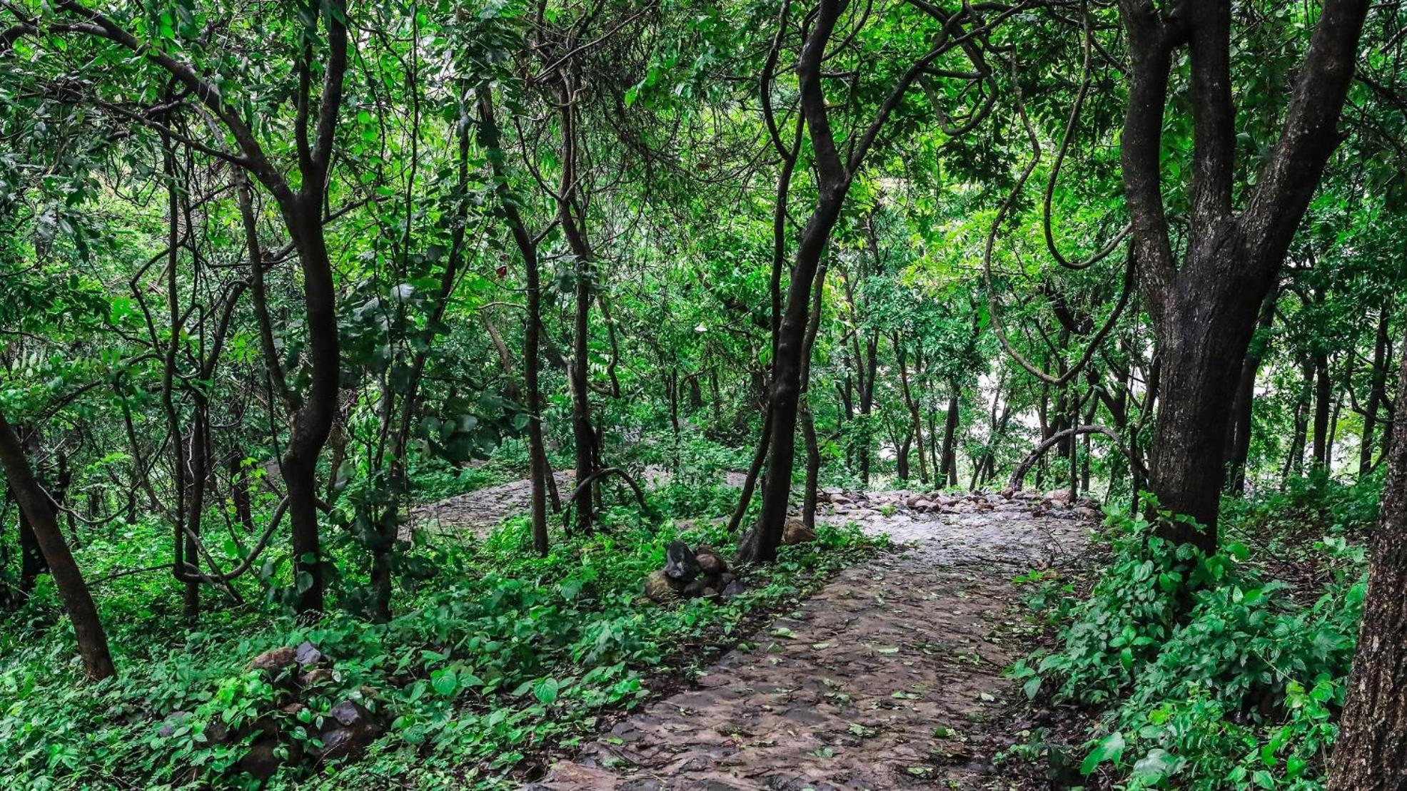 Misty Green Hills Parks & Resorts Kondotty Exteriér fotografie