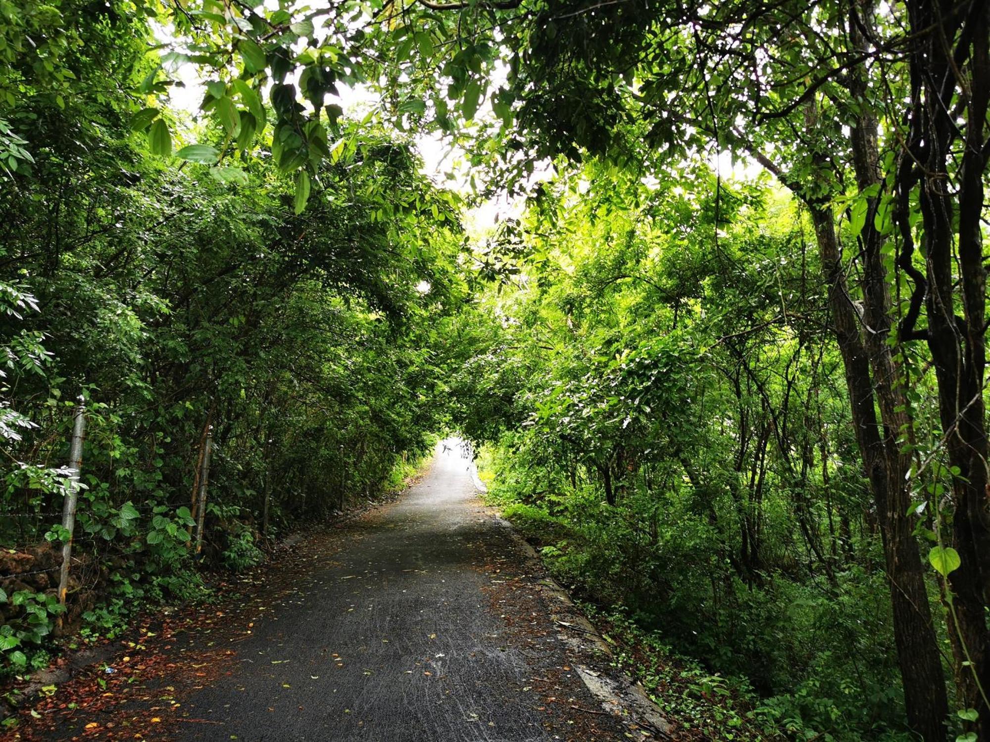 Misty Green Hills Parks & Resorts Kondotty Exteriér fotografie